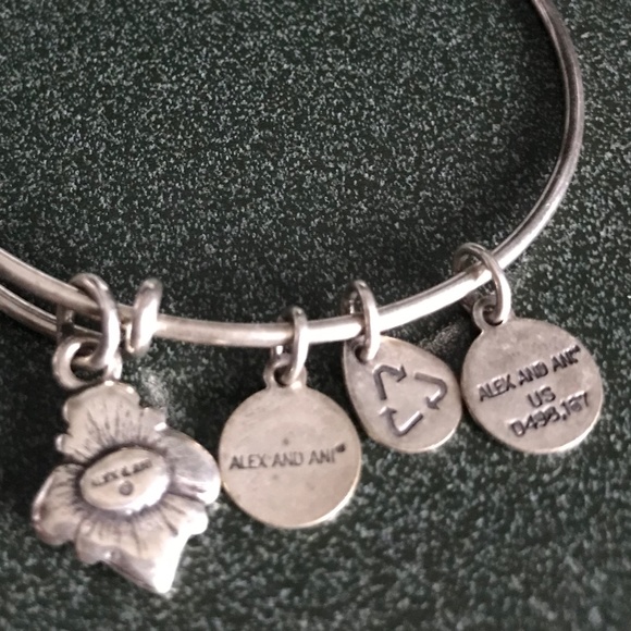 Alex And Ani Expandable Wire Bangle Bracelet - Picture 14 of 16